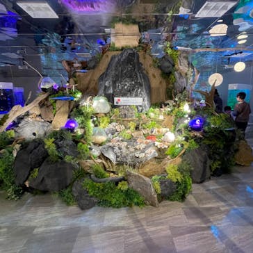 NARA KINGYO MUSEUMに投稿された画像（2023/4/21）