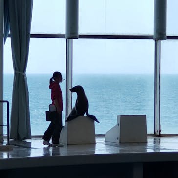 アクアワールド茨城県大洗水族館に投稿された画像（2023/4/21）