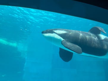 名古屋港水族館に投稿された画像（2023/4/21）