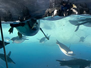 名古屋港水族館に投稿された画像（2023/4/21）