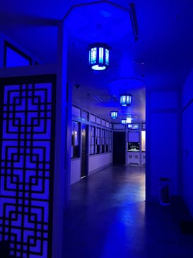 横浜開運水族館 フォーチュンアクアリウムに投稿された画像（2023/4/21）