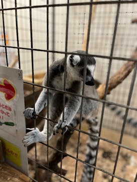 伊豆シャボテン動物公園に投稿された画像（2023/4/22）