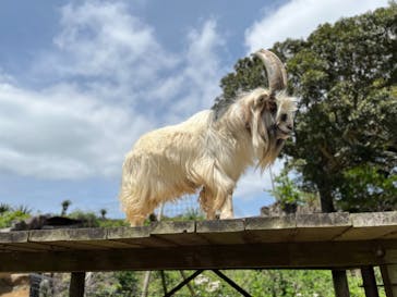 伊豆シャボテン動物公園に投稿された画像（2023/4/22）