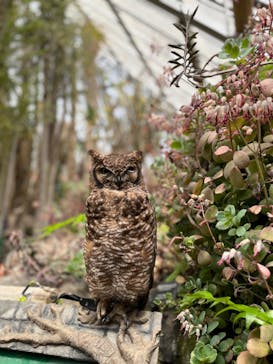 伊豆シャボテン動物公園に投稿された画像（2023/4/22）