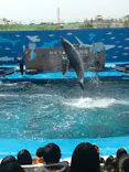 仙台うみの杜水族館に投稿された画像（2023/4/22）