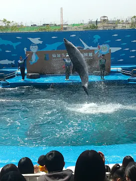 仙台うみの杜水族館に投稿された画像（2023/4/22）