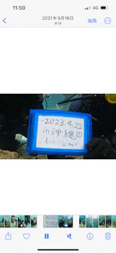 武藤潜水に投稿された画像（2023/4/22）