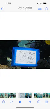 武藤潜水に投稿された画像（2023/4/22）