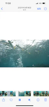 武藤潜水に投稿された画像（2023/4/22）