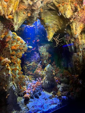 サンシャイン水族館に投稿された画像（2023/4/22）