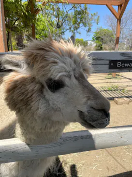 神戸どうぶつ王国に投稿された画像（2023/4/22）