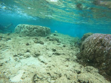 沖縄マリンサービス碧に投稿された画像（2023/4/22）