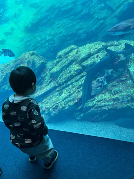 仙台うみの杜水族館に投稿された画像（2023/4/22）