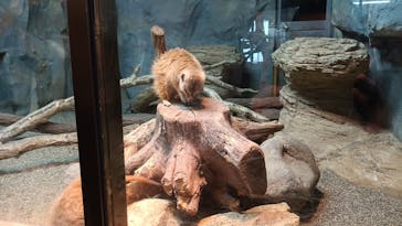 那須どうぶつ王国に投稿された画像（2023/4/22）