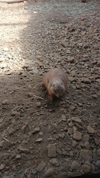 那須どうぶつ王国に投稿された画像（2023/4/22）