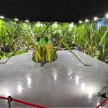 ひらかたパークに投稿された画像（2023/4/22）