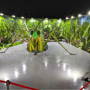 ひらかたパークに投稿された画像（2023/4/22）