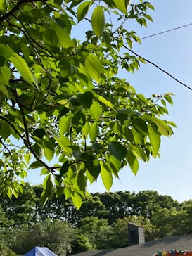 東武動物公園に投稿された画像（2023/4/22）