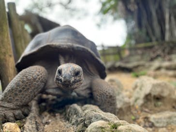 おきなわワールドに投稿された画像（2023/4/22）