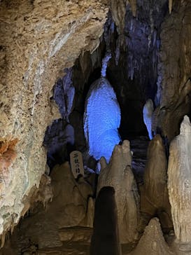 おきなわワールドに投稿された画像（2023/4/22）