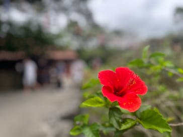 おきなわワールドに投稿された画像（2023/4/22）