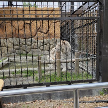 東武動物公園に投稿された画像（2023/4/22）