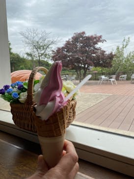 京成バラ園に投稿された画像（2023/4/22）