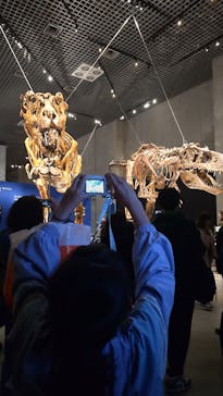 国立科学博物館に投稿された画像（2023/4/22）