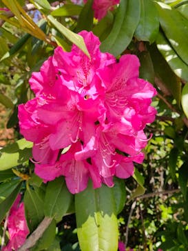 NESTA RESORT KOBE（ネスタリゾート神戸）に投稿された画像（2023/4/22）