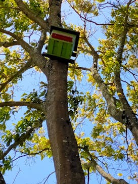 NESTA RESORT KOBE（ネスタリゾート神戸）に投稿された画像（2023/4/22）