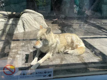 天王寺動物園に投稿された画像（2023/4/22）