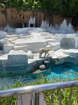 天王寺動物園に投稿された画像（2023/4/22）