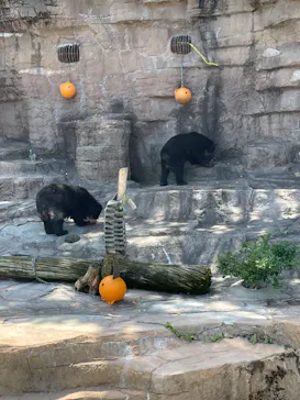 天王寺動物園に投稿された画像（2023/4/22）
