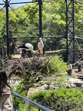天王寺動物園に投稿された画像（2023/4/22）