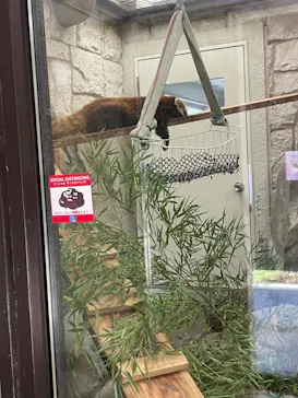 天王寺動物園に投稿された画像（2023/4/22）