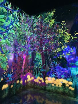 チームラボフォレスト 福岡 - SBI証券に投稿された画像（2023/4/22）