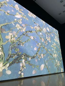 ゴッホ・アライブ神戸に投稿された画像（2023/4/22）