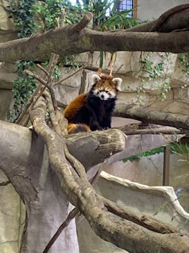 那須どうぶつ王国に投稿された画像（2023/4/22）