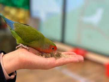 いきもの探検隊湘南に投稿された画像（2023/4/22）