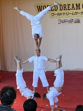 野外民族博物館 リトルワールドに投稿された画像（2023/4/22）