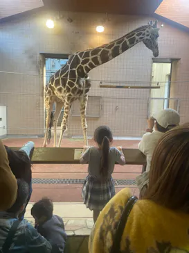 天王寺動物園に投稿された画像（2023/4/22）