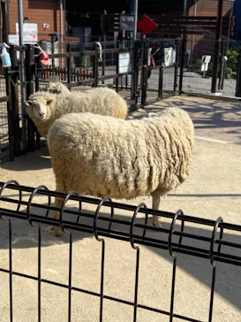 天王寺動物園に投稿された画像（2023/4/22）