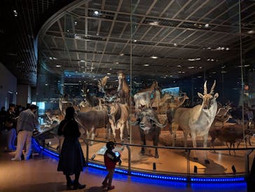 国立科学博物館に投稿された画像（2023/4/22）