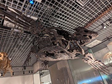 国立科学博物館に投稿された画像（2023/4/22）