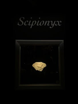 特別展「恐竜博2023」に投稿された画像（2023/4/22）