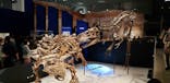 特別展「恐竜博2023」に投稿された画像（2023/4/22）