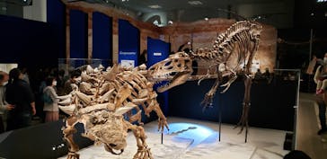 特別展「恐竜博2023」に投稿された画像（2023/4/22）