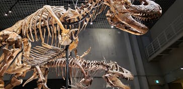 特別展「恐竜博2023」に投稿された画像（2023/4/22）