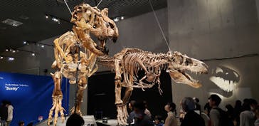 特別展「恐竜博2023」に投稿された画像（2023/4/22）