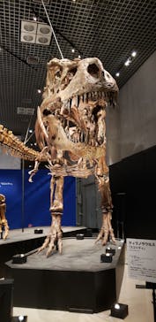 特別展「恐竜博2023」に投稿された画像（2023/4/22）
